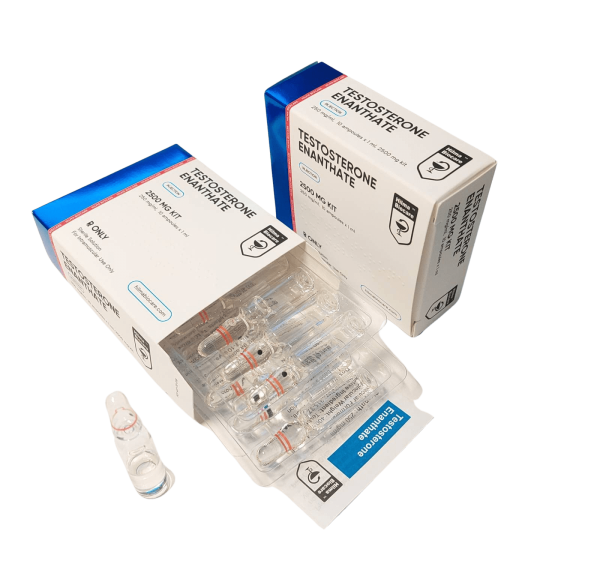 TESTOSTERONE ENANTHATE (AMPULES) (250 MG/ML – 10 ML) – Hilma Biocare
